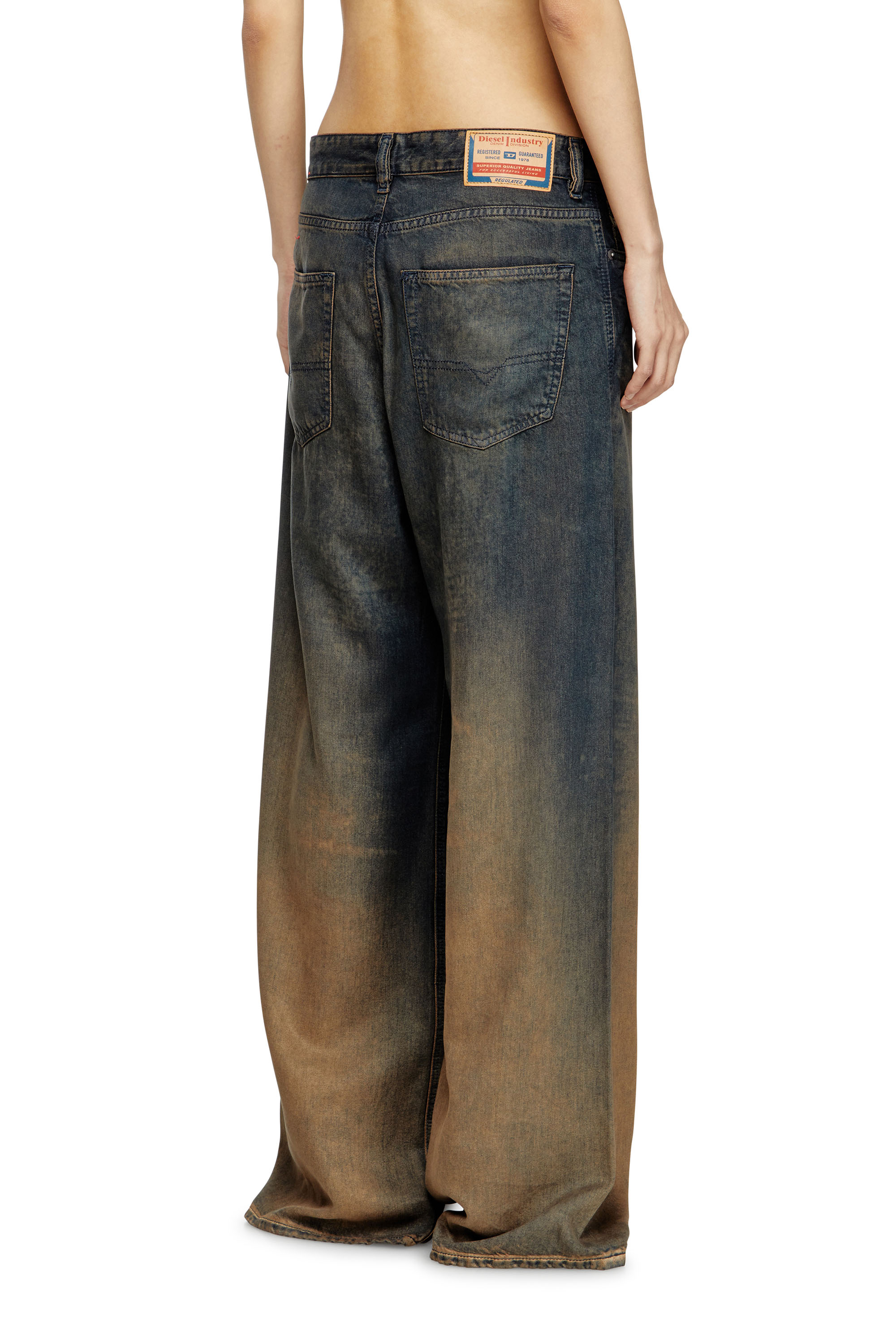 Diesel - Woman's Relaxed Jeans 1996 D-Sire 068TF, Blue/Brown - 4